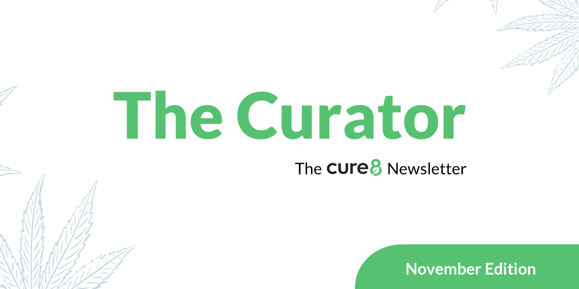 Curator November